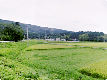 自然に囲まれた安らげる環境